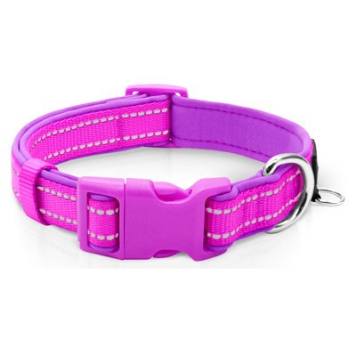 प्यारा पिल्ला कॉलर