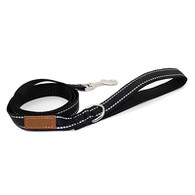 आसान कुत्ता पट्टा