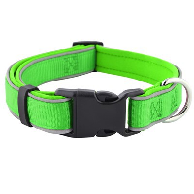 अच्छा पालतू कॉलर