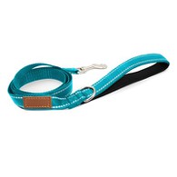 गद्देदार कुत्ते का नेतृत्व