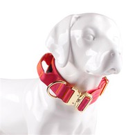 वाइड डॉग कॉलर