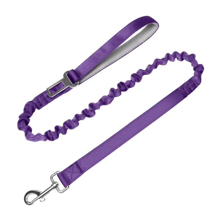 Bungee Dog Leash with Seatbelt2