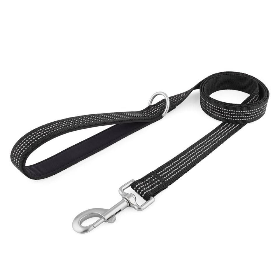 Dog Leash With Padded Handle best