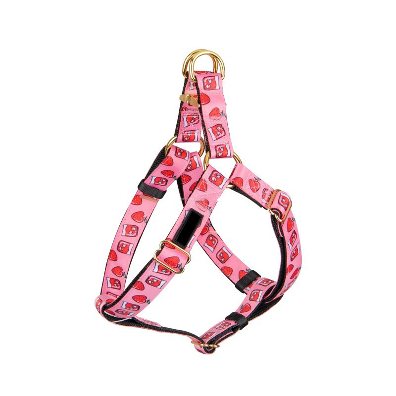 Dog Step in Harnesses best