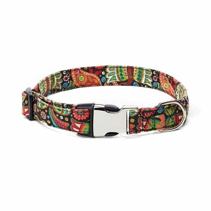 Metal Clasp Dog Collar