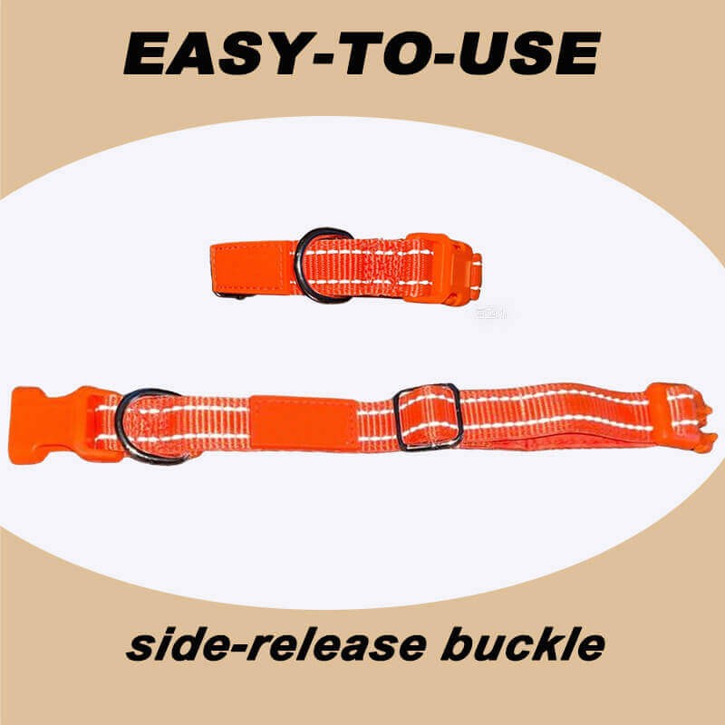 Personalized Dog Collars Reflective Nylon Collar