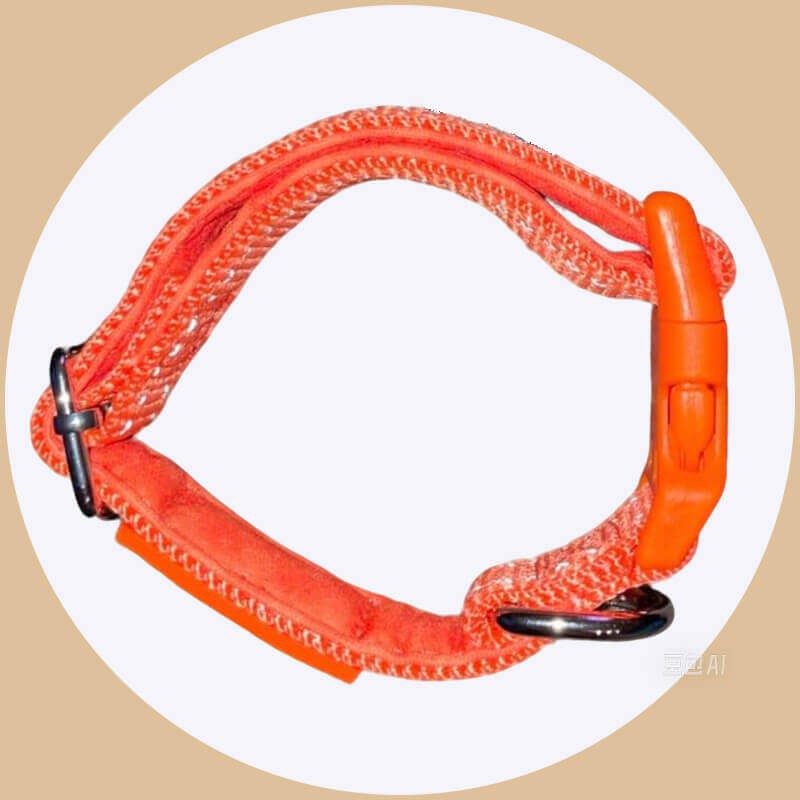 Personalized Dog Collars Reflective Nylon Collar