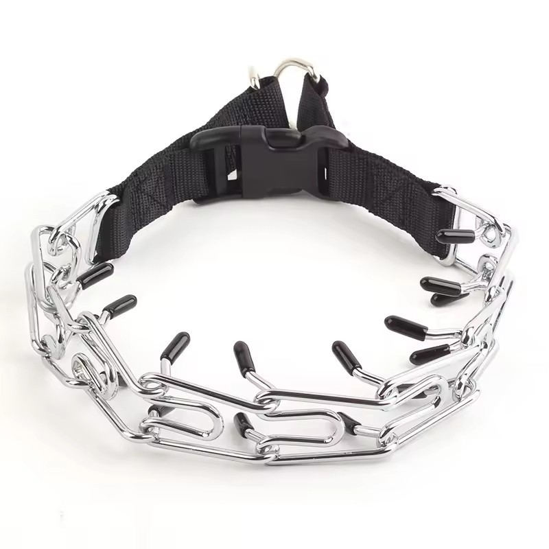 Prong Dog Collar best