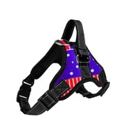 डॉग हार्नेस में आसान कदम