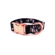 पुष्प कुत्ता कॉलर