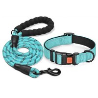 Large Dog Collar and Lead Set Large Dog Collar and Lead Set