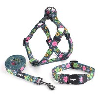 Matching Dog Harness Collar And Leash Matching Dog Harness Collar And Leash