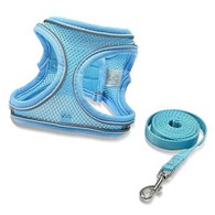 मैचिंग डॉग लीड और हार्नेस