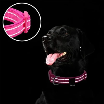 Padded Dog Collars Padded Dog Collars